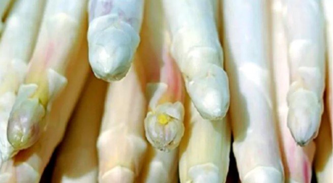 জনপ্রিয় সবজির চাষে এখন লাভ হবে বহুগুন